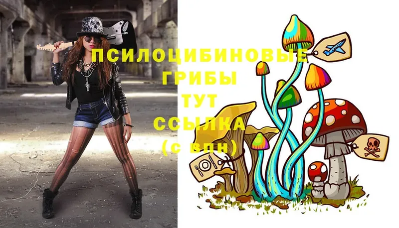 Псилоцибиновые грибы MAGIC MUSHROOMS  купить  сайты  KRAKEN зеркало  Красный Кут 